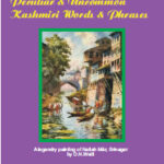 A Dictionary of Peculiar & Uncommon Kashmiri Words and Phrases Edition 4